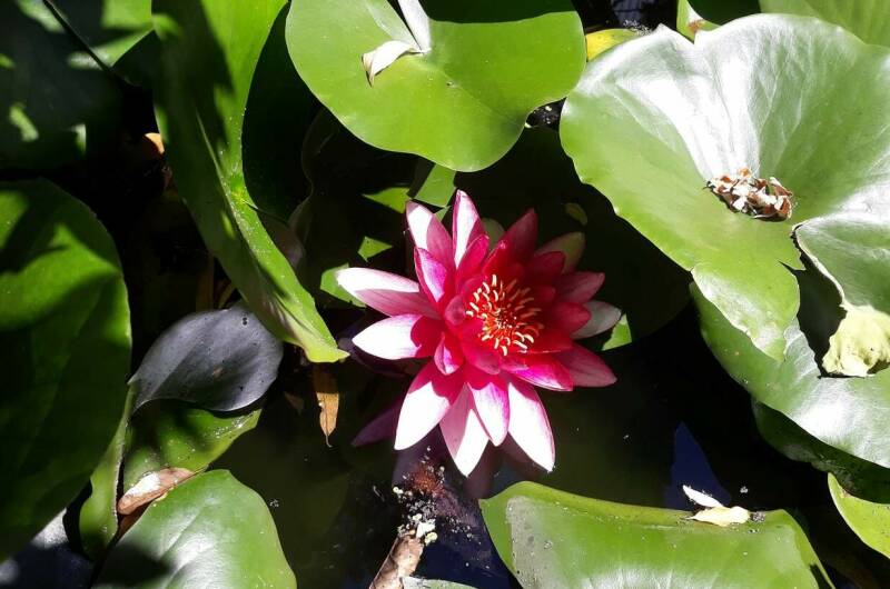 Гостевой дом «Дом Солнца»