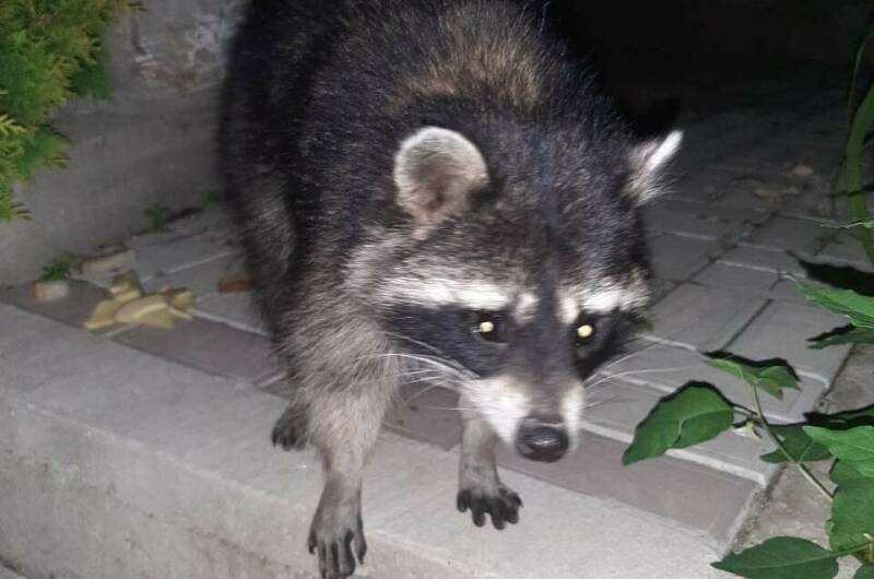 Гостевой дом «Эко-Тур»