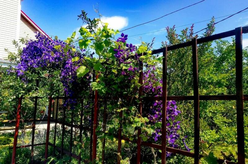 Гостевой дом «Александрия»