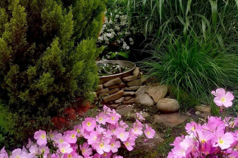 Гостевой дом «Александрия»