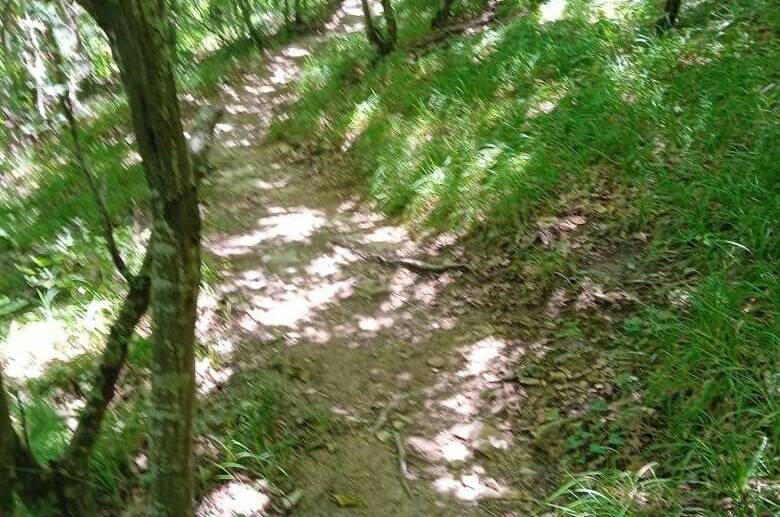 Гостевой дом «Александрия»