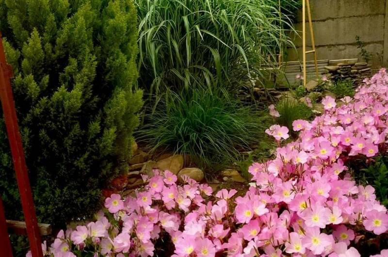 Гостевой дом «Александрия»