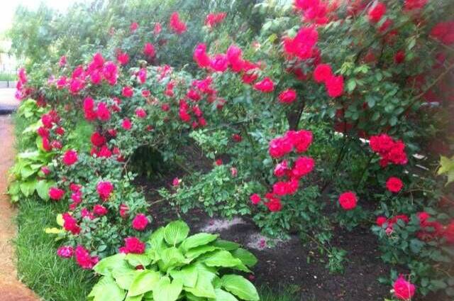 Гостевой дом «Александрия»