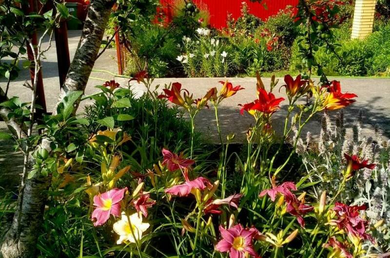 Гостевой дом «Александрия»