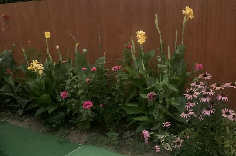 Частный сектор «Ласточка»