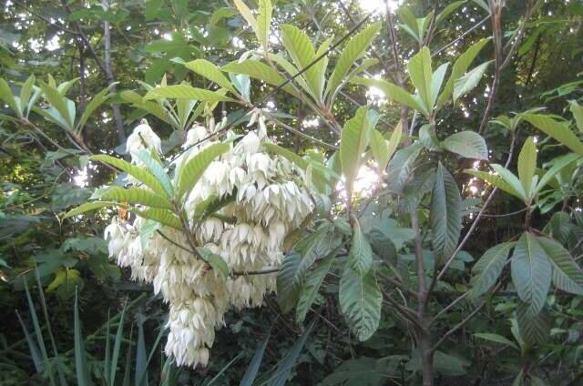 Гостевой дом у моря «Есения»