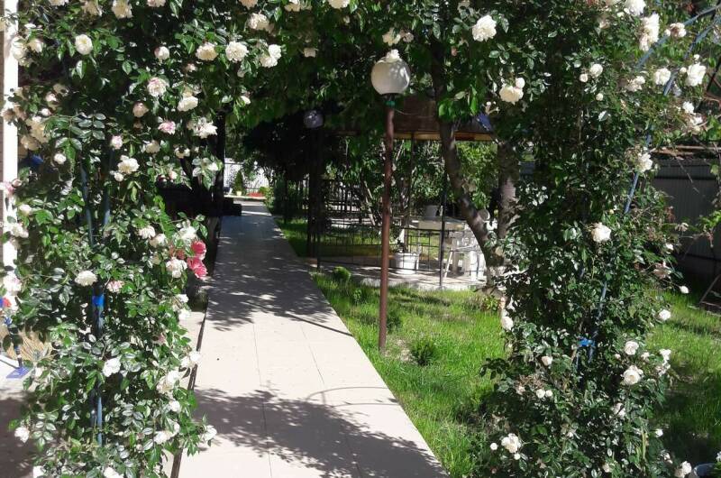 Отель «Солнечный»