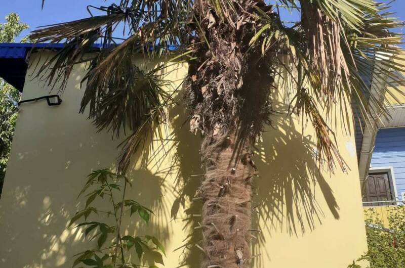 Частный дом «Нейва»