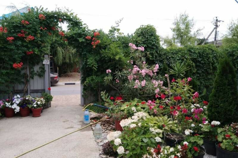 Гостевой дом «Орлинка»