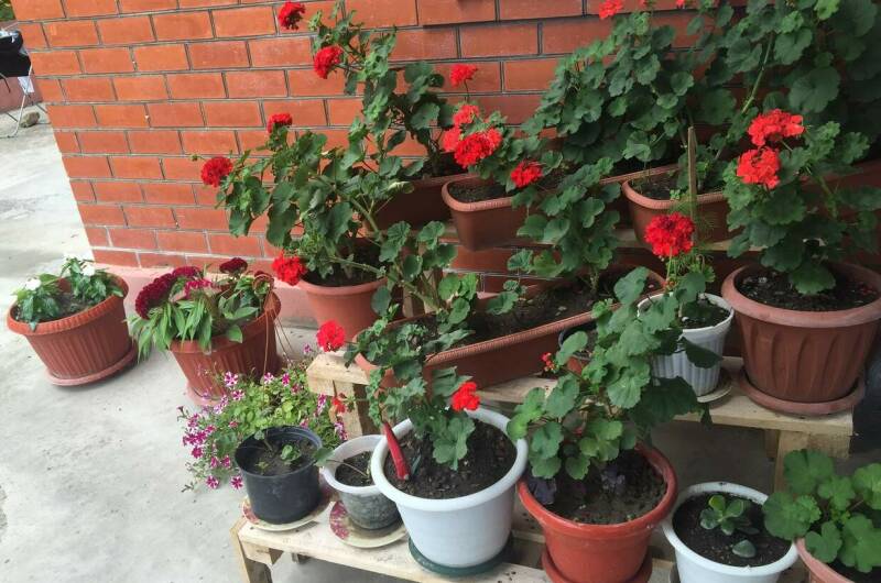 Гостевой дом «Карина»