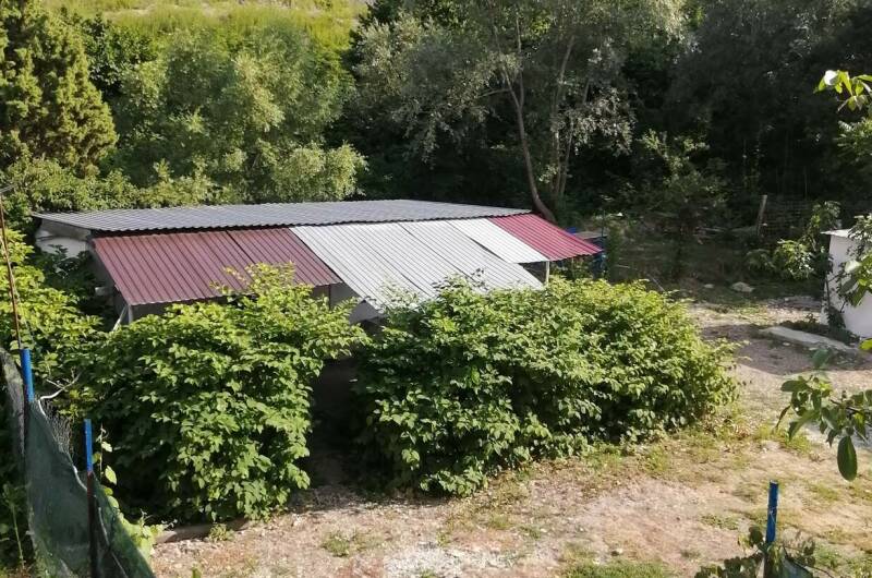 Частный сектор «У Алены и Александра»