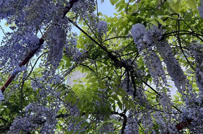 Гостевой дом «У Анны»