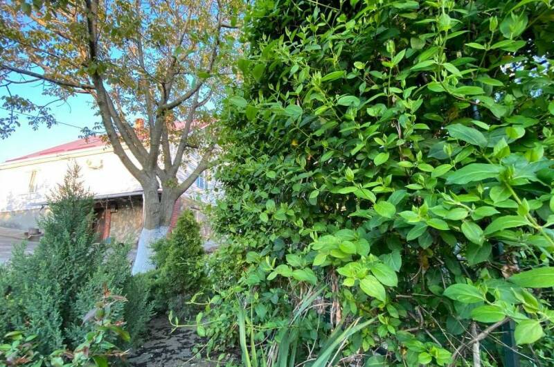 Гостевой дом «Под соснами»