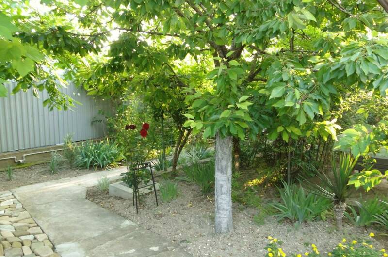 Гостевой дом «Под соснами»