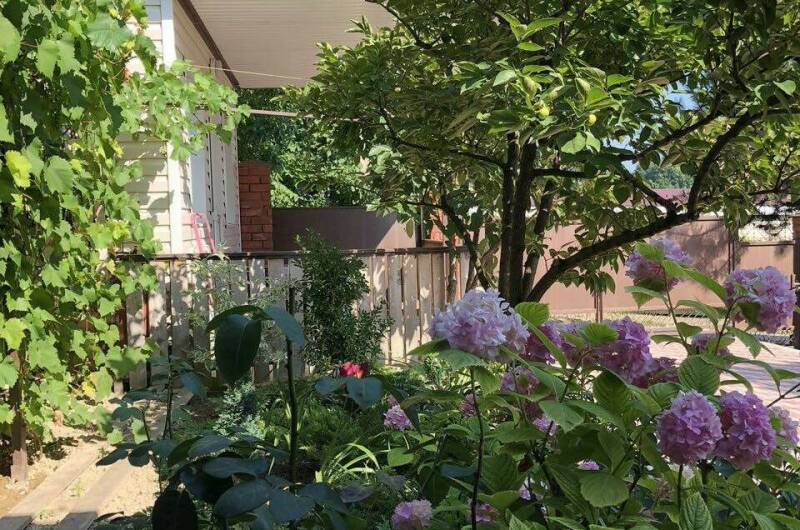 Гостевой дом «Под соснами»