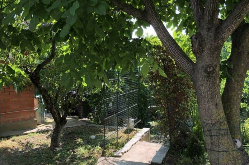 Гостевой дом «Под соснами»