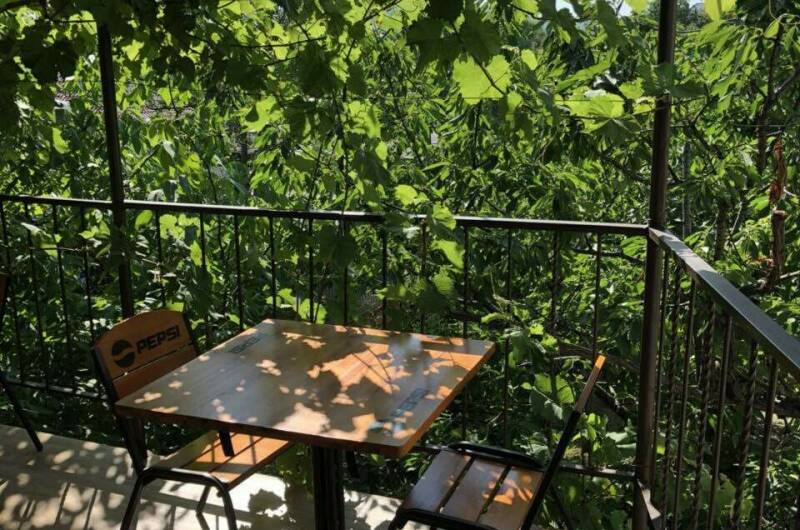 Гостевой дом «Под соснами»