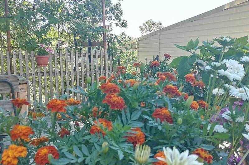 Гостевой дом «С Севера на Юг»