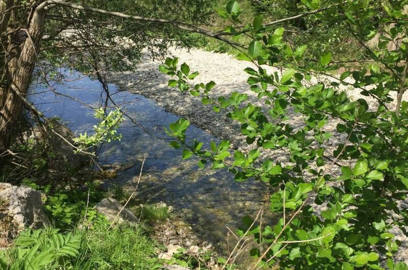 Гостевой дом «Каштан»