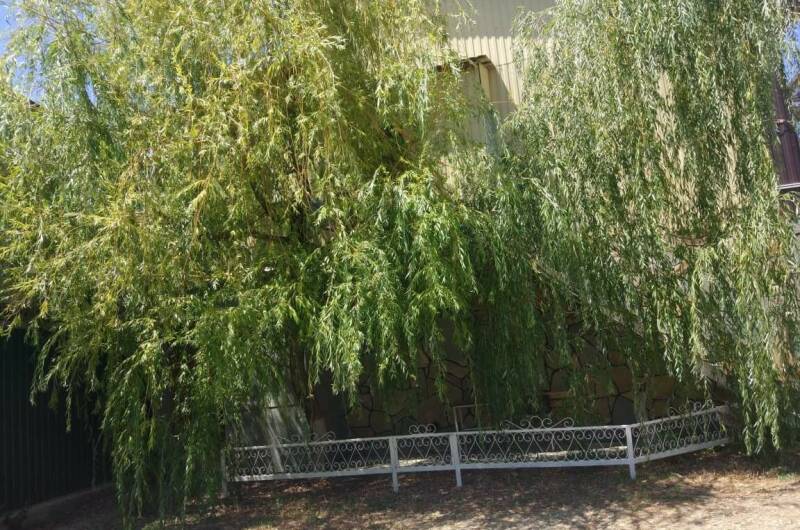 Дом под ключ «У Ивы»