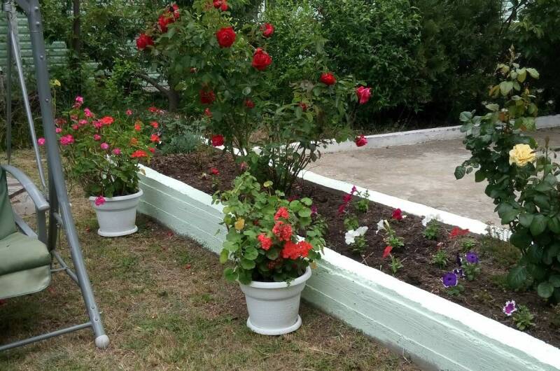 Гостевой дом «Мечта-3»