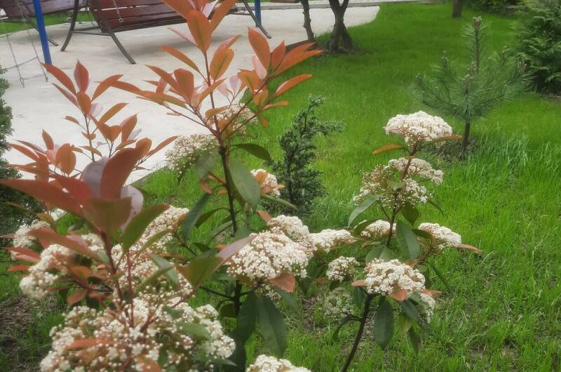 Гостевой дом «Шервуд»