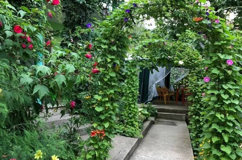 Гостевой дом «Эдельвейс»