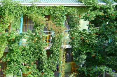 Гостевой дом «Эдельвейс»