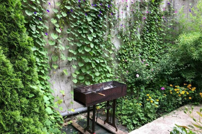 Гостевой дом «Эдельвейс»