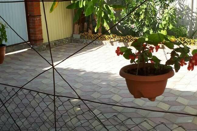 Гостевой дом «Орхидея»