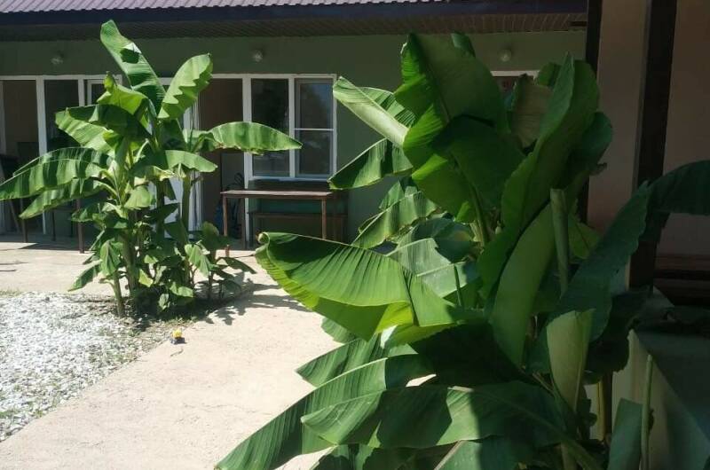 Гостевой дом «Саламандра»