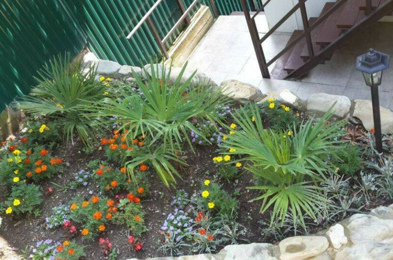 Гостевой дом «Курортник»