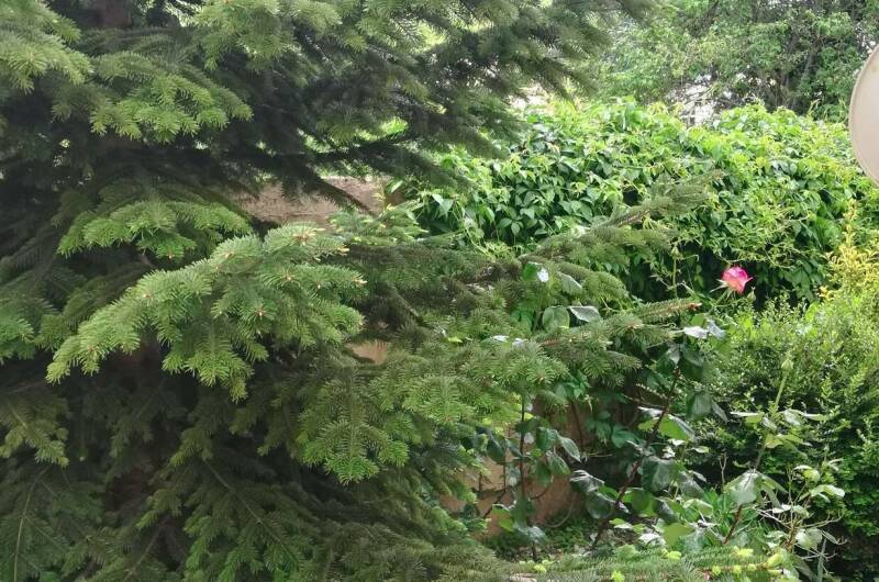 Гостевой дом «У Александра»