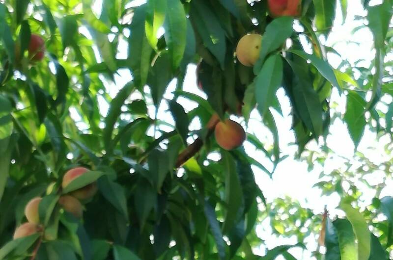 Гостевой дом «У Александра»