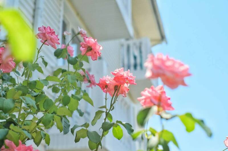Гостевой дом «Век»