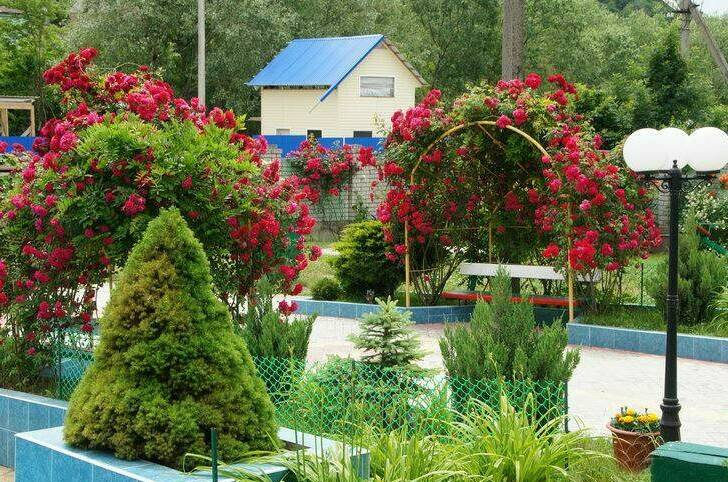 Частная гостиница «Оазис»