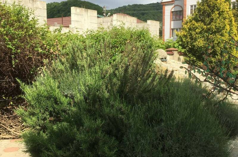 Гостевой дом «Уют»