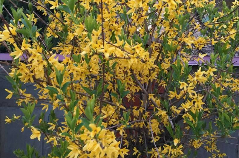 Гостевой дом «Уют»