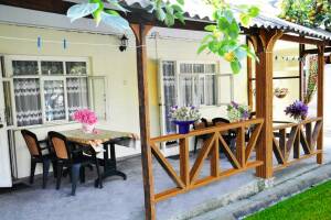 Изображение Шепси #2