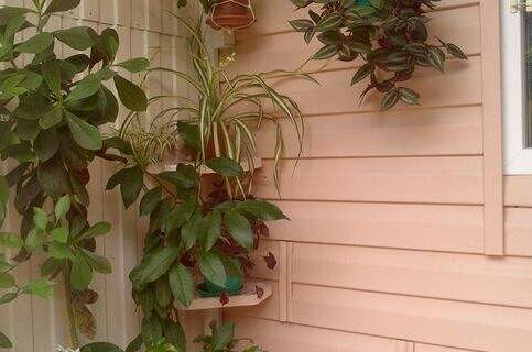 Частный дом «Аврора»