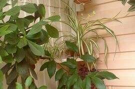 Частный дом «Аврора»