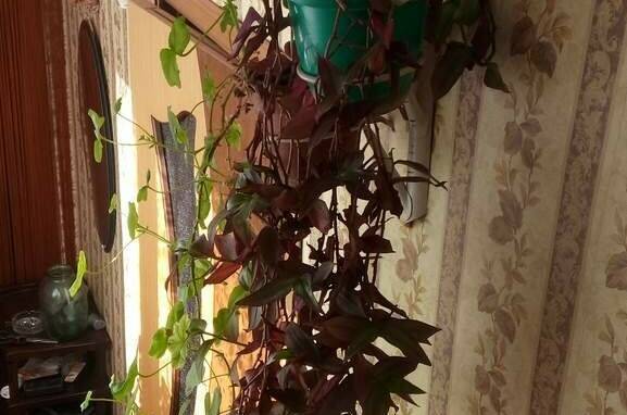 Частный дом «Аврора»