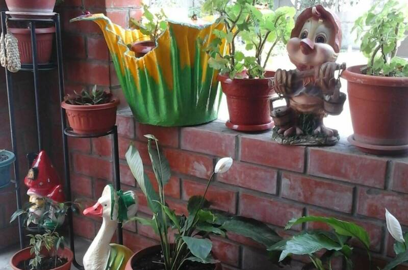 Гостевой дом «Круиз»