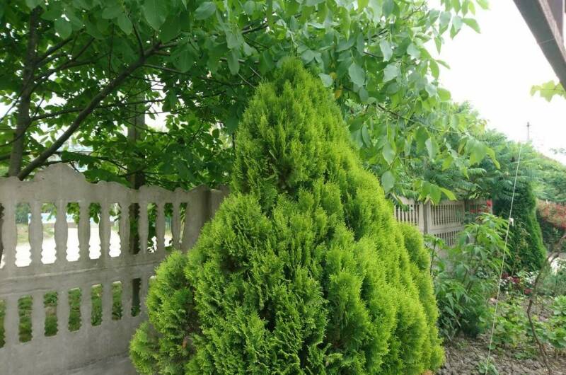 Гостевой дом «Круиз»