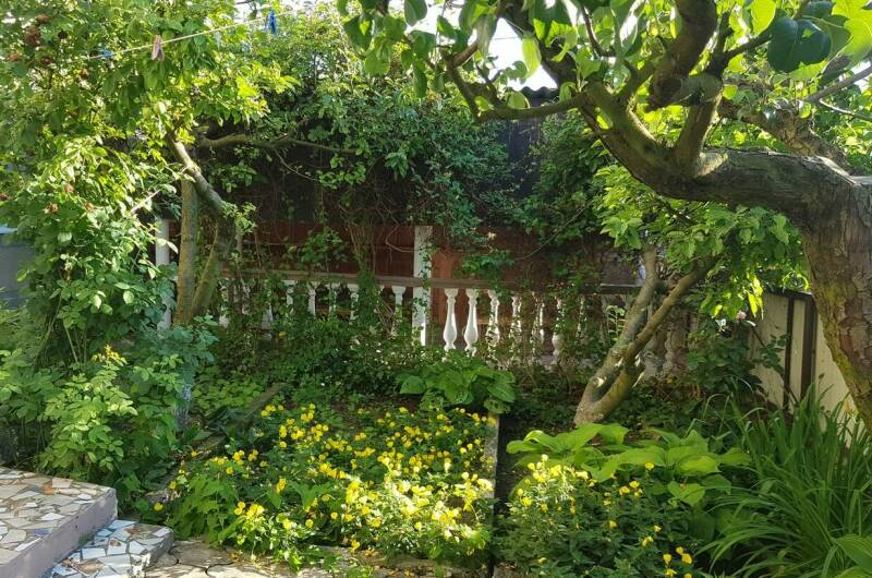 Гостевой дом «Амина»