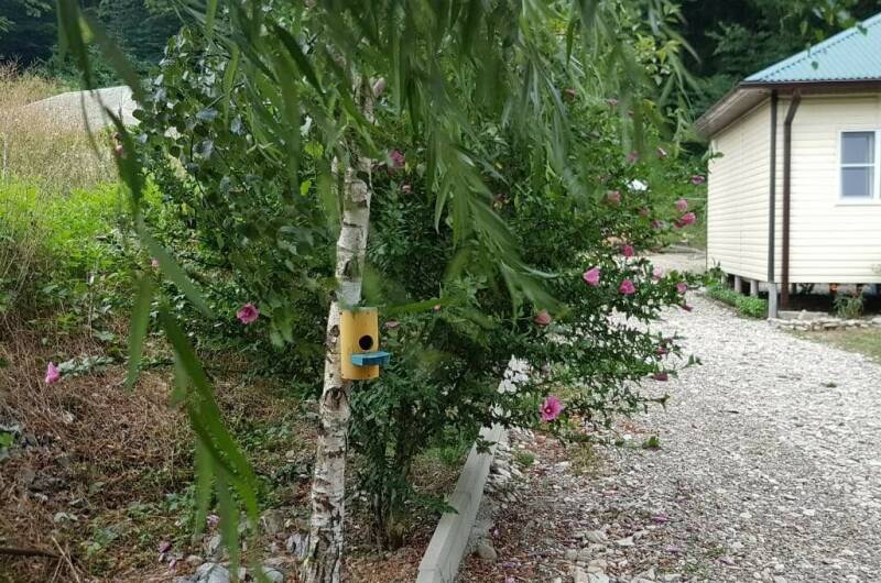 Домик под ключ «Ивушка»