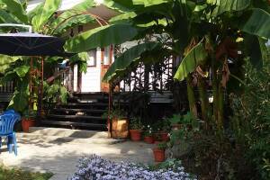 Изображение Шепси #8