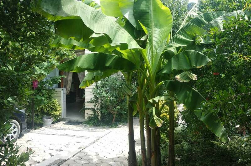 Гостевой дом «Ростовский дворик»