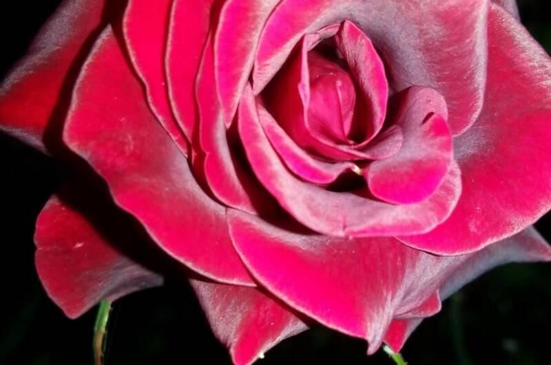 Гостевая усадьба «Александр»