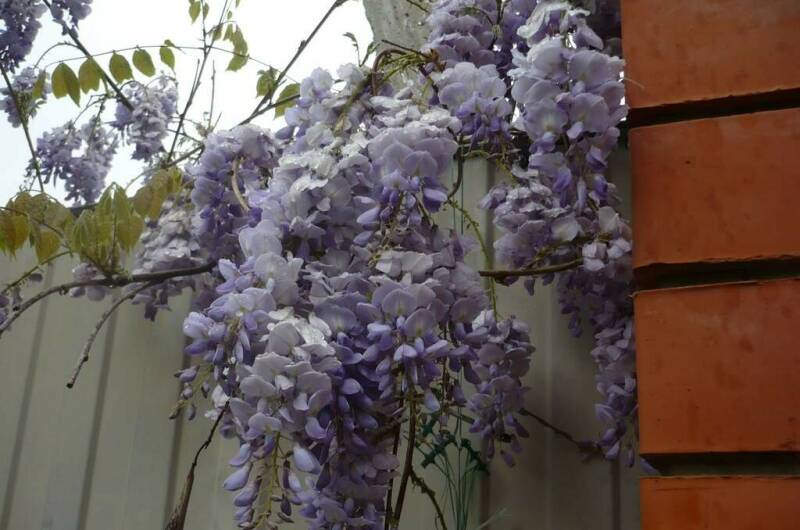 Гостевая усадьба «Александр»